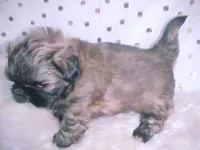 processed/1ae6a644-6f75-4b01-9c68-e7be6eb21c30/listing/03a9a779-e350-4aec-9ec5-3f1fe4253da2/13645b4f-7adb-4724-8f1c-443ae3ac2de0