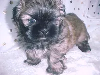 processed/1ae6a644-6f75-4b01-9c68-e7be6eb21c30/listing/03a9a779-e350-4aec-9ec5-3f1fe4253da2/213ec03f-8dee-4a55-9341-d38a21c78957