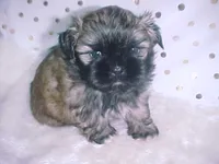 processed/1ae6a644-6f75-4b01-9c68-e7be6eb21c30/listing/03a9a779-e350-4aec-9ec5-3f1fe4253da2/28a3a754-2202-4c49-9055-566c21446478