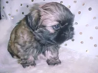 processed/1ae6a644-6f75-4b01-9c68-e7be6eb21c30/listing/03a9a779-e350-4aec-9ec5-3f1fe4253da2/aae6c26a-f970-4537-849c-6ece35173508