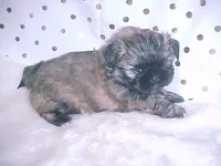 processed/1ae6a644-6f75-4b01-9c68-e7be6eb21c30/listing/03a9a779-e350-4aec-9ec5-3f1fe4253da2/ee9517c9-0f4c-4738-838d-eb75b40f1d43