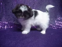 processed/1ae6a644-6f75-4b01-9c68-e7be6eb21c30/listing/56375e54-9dc6-42dc-bd65-8ca82f0be81c/3a4bc688-3b34-4c0f-84e0-25a2dd236c65