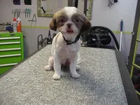 processed/1ae6a644-6f75-4b01-9c68-e7be6eb21c30/listing/56375e54-9dc6-42dc-bd65-8ca82f0be81c/7422bc40-6b5f-438e-9594-8752498b3af0