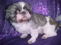 processed/1ae6a644-6f75-4b01-9c68-e7be6eb21c30/listing/56375e54-9dc6-42dc-bd65-8ca82f0be81c/b1933da7-36e9-45bd-8a21-c979bfadcd95