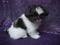 processed/1ae6a644-6f75-4b01-9c68-e7be6eb21c30/listing/56375e54-9dc6-42dc-bd65-8ca82f0be81c/b1b49568-21b3-4005-8fed-9a322b97ba92