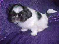 processed/1ae6a644-6f75-4b01-9c68-e7be6eb21c30/listing/56375e54-9dc6-42dc-bd65-8ca82f0be81c/eb053abb-8b18-4444-aa1b-6ba6236c2096