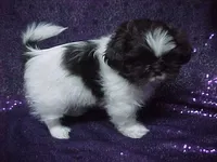 processed/1ae6a644-6f75-4b01-9c68-e7be6eb21c30/listing/56375e54-9dc6-42dc-bd65-8ca82f0be81c/f0ccbddf-c2f5-4dd0-83f8-c3b7b95ad687