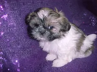 processed/1ae6a644-6f75-4b01-9c68-e7be6eb21c30/listing/990daef4-74fd-41bf-a298-7df0849e1a51/16d0e47a-4a76-4b7a-93b1-c98bd37c2df1