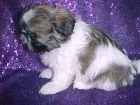 processed/1ae6a644-6f75-4b01-9c68-e7be6eb21c30/listing/990daef4-74fd-41bf-a298-7df0849e1a51/3eb3f3b6-6ada-4b4f-a6a8-d1aee044fd80