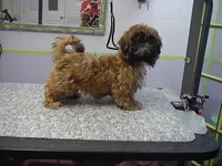 processed/1ae6a644-6f75-4b01-9c68-e7be6eb21c30/listing/990daef4-74fd-41bf-a298-7df0849e1a51/4e96d211-9cef-4bcf-9949-3cf88d00b909