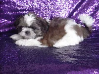 processed/1ae6a644-6f75-4b01-9c68-e7be6eb21c30/listing/990daef4-74fd-41bf-a298-7df0849e1a51/53d479e5-09bc-44bc-aa6b-738cfb846cb3