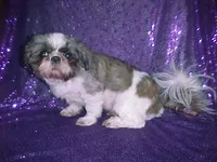 processed/1ae6a644-6f75-4b01-9c68-e7be6eb21c30/listing/990daef4-74fd-41bf-a298-7df0849e1a51/7bf2170e-557a-44f4-afa1-52e38b0f666b