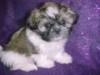 processed/1ae6a644-6f75-4b01-9c68-e7be6eb21c30/listing/990daef4-74fd-41bf-a298-7df0849e1a51/8bd30418-5dbd-4254-9691-bdd36412f08b