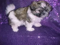 processed/1ae6a644-6f75-4b01-9c68-e7be6eb21c30/listing/990daef4-74fd-41bf-a298-7df0849e1a51/a072065d-4cb9-4344-b6b3-55d81924d13c