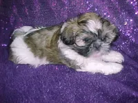 processed/1ae6a644-6f75-4b01-9c68-e7be6eb21c30/listing/990daef4-74fd-41bf-a298-7df0849e1a51/bd2104de-2c25-47bf-90fe-c093aaa8d68d