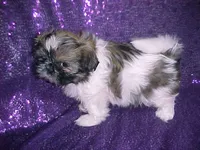 processed/1ae6a644-6f75-4b01-9c68-e7be6eb21c30/listing/990daef4-74fd-41bf-a298-7df0849e1a51/e4d8d177-d55f-4ed3-95ed-3c7d17fb4990