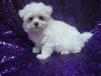 processed/1ae6a644-6f75-4b01-9c68-e7be6eb21c30/listing/f9a3500f-22a6-4544-9644-0706e6160762/2b3ba66d-7d08-4857-9f91-8aea1c5c43d6