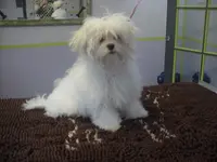 processed/1ae6a644-6f75-4b01-9c68-e7be6eb21c30/listing/f9a3500f-22a6-4544-9644-0706e6160762/9f4039b3-c1e4-4582-9cdc-cae4c4642b66