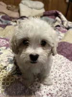 processed/1aeec411-b127-4b04-88fa-7572b8888312/listing/1bcaad14-9668-4f7c-a1fb-85dc182e0f8d/4cbc94e5-2cd3-43fe-8600-d4a55a482f47