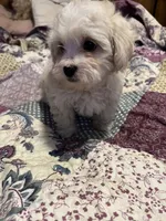 processed/1aeec411-b127-4b04-88fa-7572b8888312/listing/1bcaad14-9668-4f7c-a1fb-85dc182e0f8d/dfaca9d0-a19f-4f55-ae89-541d31567511