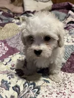 processed/1aeec411-b127-4b04-88fa-7572b8888312/listing/1bcaad14-9668-4f7c-a1fb-85dc182e0f8d/f5edec21-6367-4b4b-bc68-1ef8b4549e63