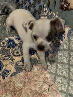 processed/1aeec411-b127-4b04-88fa-7572b8888312/listing/70bbf8d5-9a1d-458f-984a-f572192b2514/361c05d5-37c7-4974-9dab-32ffffab57b0