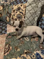 processed/1aeec411-b127-4b04-88fa-7572b8888312/listing/70bbf8d5-9a1d-458f-984a-f572192b2514/4b0fa9aa-da99-42e4-8a77-4febb8234631