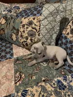 processed/1aeec411-b127-4b04-88fa-7572b8888312/listing/70bbf8d5-9a1d-458f-984a-f572192b2514/9bdee014-0863-49f2-beef-231ed65e3523