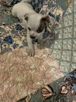 processed/1aeec411-b127-4b04-88fa-7572b8888312/listing/70bbf8d5-9a1d-458f-984a-f572192b2514/a537abf5-9bf2-4b20-9082-af478b654ccc