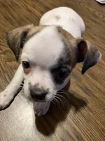 processed/1aeec411-b127-4b04-88fa-7572b8888312/listing/9590eeb3-31f0-4499-bb04-22cb835666dc/18cf7dd0-4b10-4410-83df-c2fec39485e7