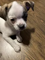 processed/1aeec411-b127-4b04-88fa-7572b8888312/listing/9590eeb3-31f0-4499-bb04-22cb835666dc/443fb73c-1f01-4a41-99f3-d0d1397609c6