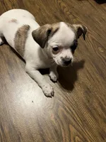 processed/1aeec411-b127-4b04-88fa-7572b8888312/listing/9590eeb3-31f0-4499-bb04-22cb835666dc/94cee108-9cb2-48d5-859a-bfe8a800e443