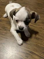 processed/1aeec411-b127-4b04-88fa-7572b8888312/listing/9590eeb3-31f0-4499-bb04-22cb835666dc/ed9cb1fc-390a-4578-bd22-b16a5ed6c15d