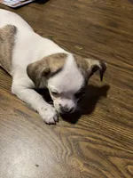 processed/1aeec411-b127-4b04-88fa-7572b8888312/listing/9590eeb3-31f0-4499-bb04-22cb835666dc/fdc47387-d8f1-4fc6-83af-a5f50be3700f