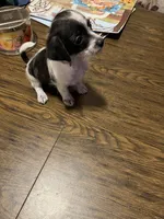 processed/1aeec411-b127-4b04-88fa-7572b8888312/listing/e5e270bb-a9e1-4d44-8bb7-79103b7e55c0/cb60c4b3-896b-4178-ad02-e37a0edc75a5