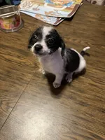 processed/1aeec411-b127-4b04-88fa-7572b8888312/listing/e5e270bb-a9e1-4d44-8bb7-79103b7e55c0/ec41dc5e-5265-4a1c-9aec-73e722ca0e54