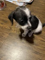 processed/1aeec411-b127-4b04-88fa-7572b8888312/listing/e5e270bb-a9e1-4d44-8bb7-79103b7e55c0/fbc10245-37f2-4f29-a2e9-75d62e890e48