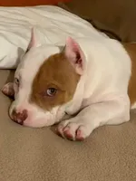 processed/1afbc484-8890-4451-90c8-5cf8d957d151/facility/2ad04ec8-34ef-47a0-b8e0-37224521b934