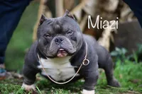 processed/1afbc484-8890-4451-90c8-5cf8d957d151/facility/5182ad96-cce2-4e07-be09-fe031b8b2a98