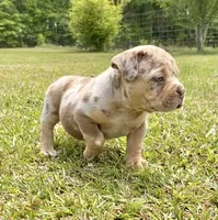 processed/1afbc484-8890-4451-90c8-5cf8d957d151/facility/6b605fc4-f841-44ba-8c5e-860cd817aa10