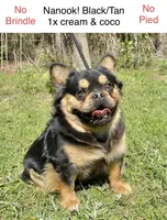 processed/1afbc484-8890-4451-90c8-5cf8d957d151/facility/905fd27e-f075-4ef2-b2fe-1f2188f0597c