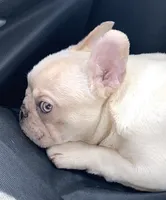 processed/1afbc484-8890-4451-90c8-5cf8d957d151/facility/c7a8c0e0-503a-4bf5-9d3b-c26856e10534