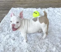 processed/1afbc484-8890-4451-90c8-5cf8d957d151/facility/d388ba4c-e8fb-4992-82df-c831a78cee0b