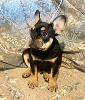 processed/1afbc484-8890-4451-90c8-5cf8d957d151/facility/d7f73751-5f6f-4e85-9763-8d800b027837