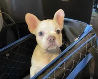 processed/1afbc484-8890-4451-90c8-5cf8d957d151/facility/e8c54966-b953-40e3-b2eb-610633175b26