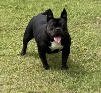 processed/1afbc484-8890-4451-90c8-5cf8d957d151/facility/eac483ba-14aa-4af3-bec7-28fdc6ba5c20