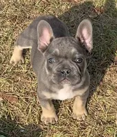 processed/1afbc484-8890-4451-90c8-5cf8d957d151/listing/afd03e90-5e19-4620-a153-3c11d108dc9a/d024d20c-3874-4893-84ac-ca74972c79d5