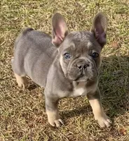 processed/1afbc484-8890-4451-90c8-5cf8d957d151/listing/afd03e90-5e19-4620-a153-3c11d108dc9a/f69b36cc-7b1c-4035-bfc3-03bc8d93846f