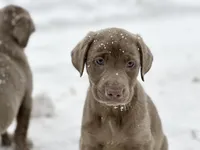 processed/1b025c33-1021-433c-a5cc-a369a5272982/listing/32c3bfe9-7490-421b-af02-16446f53de1c/5a936863-4442-4cc9-9a85-1499135789ee