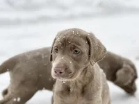 processed/1b025c33-1021-433c-a5cc-a369a5272982/listing/741d968e-da6b-48a0-aad0-3a156f5b2608/527fda71-7918-420a-a82d-54f5ae38a520